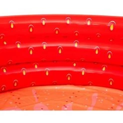 Piscina Hinchable Infantil Fresa Bestway 160x38 Cm - 51145 -BESTWAY Soldes Boutique 17999865 3